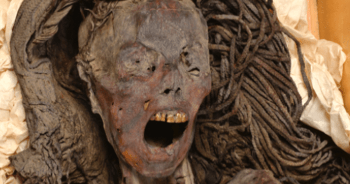 Egyptian mummy may have died ‘screaming from agony,’ researchers say